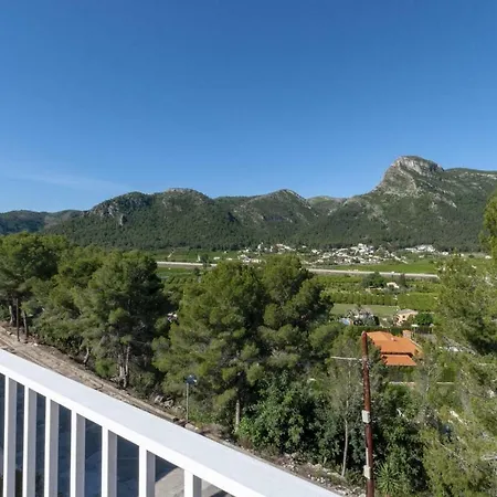 Tomillo Villa Gandía